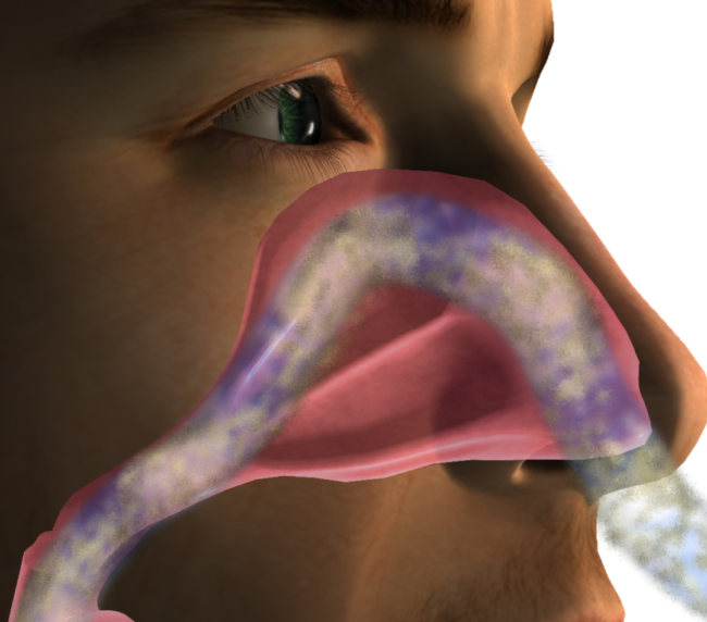 man breathing through nose