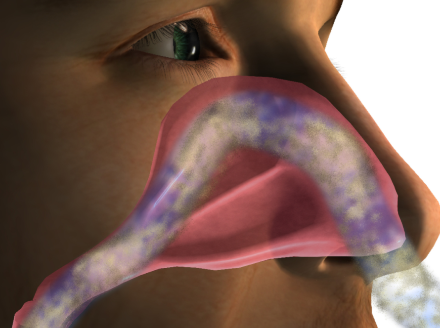 man breathing through nose